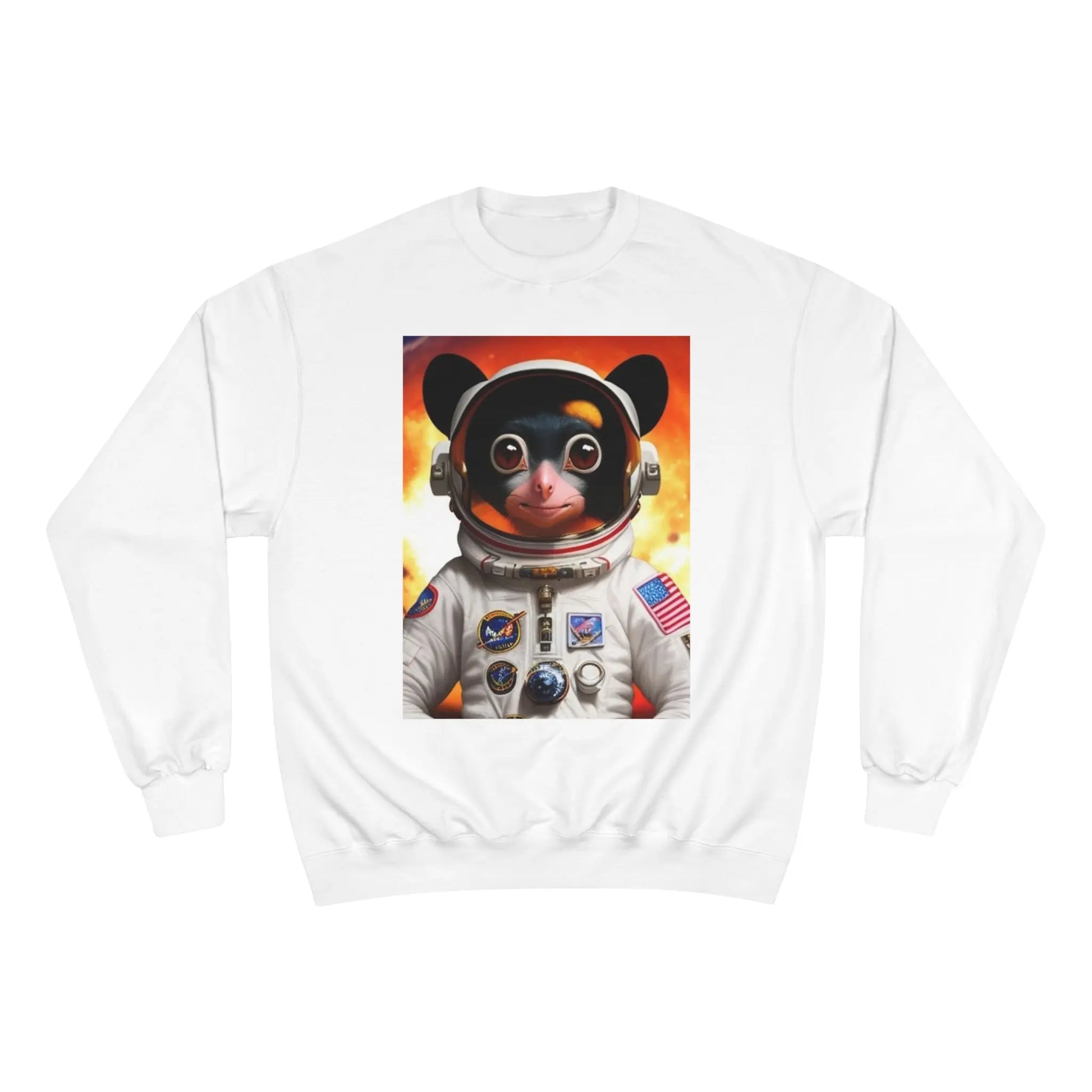 GoAyeAye Space Lemur Unisex Champion Sweatshirt Printify